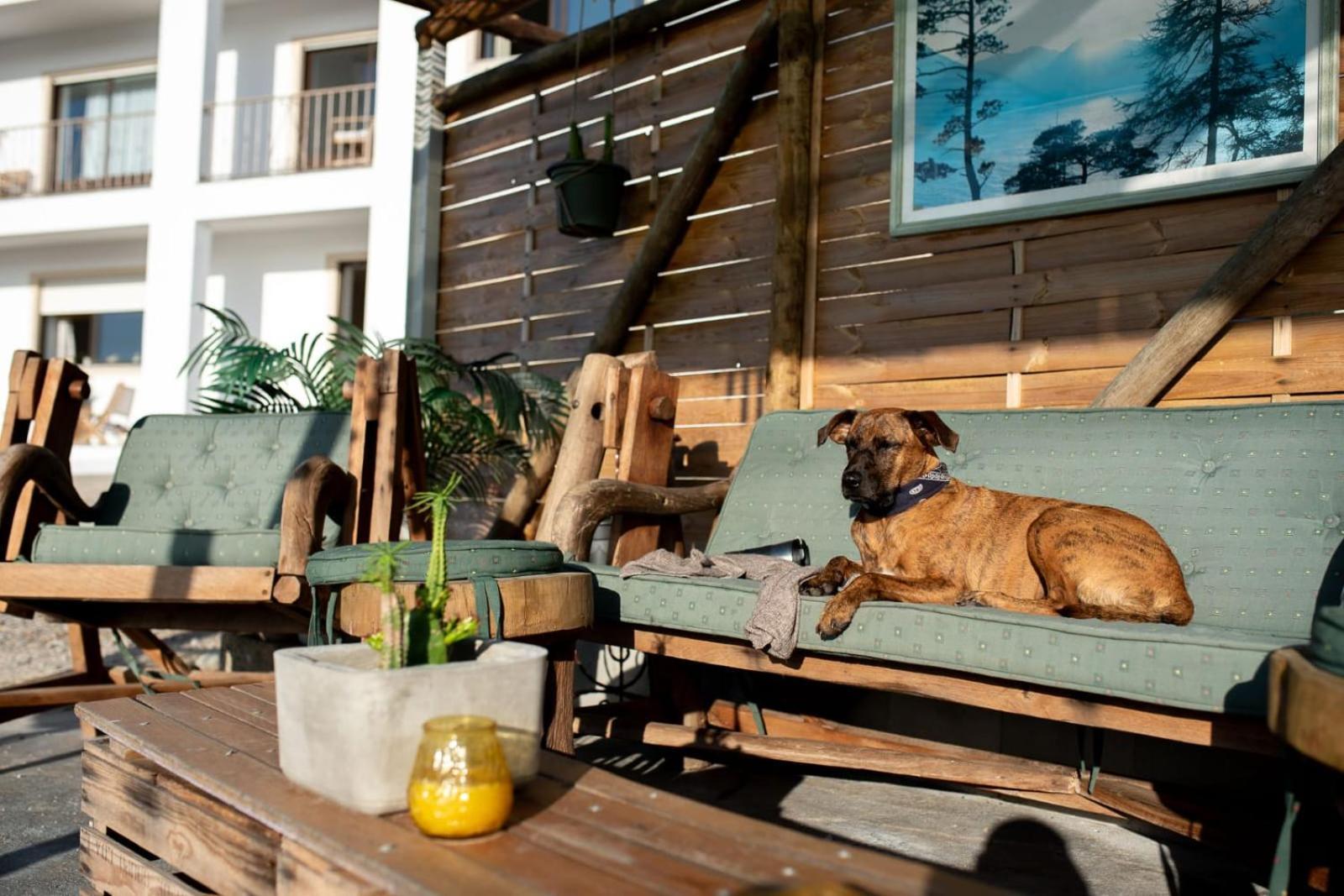 Villa Intuitiva - Relaxation And Mindful Stay Lourinhã Kültér fotó